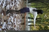Thumnail / 2 / 23 / 64
